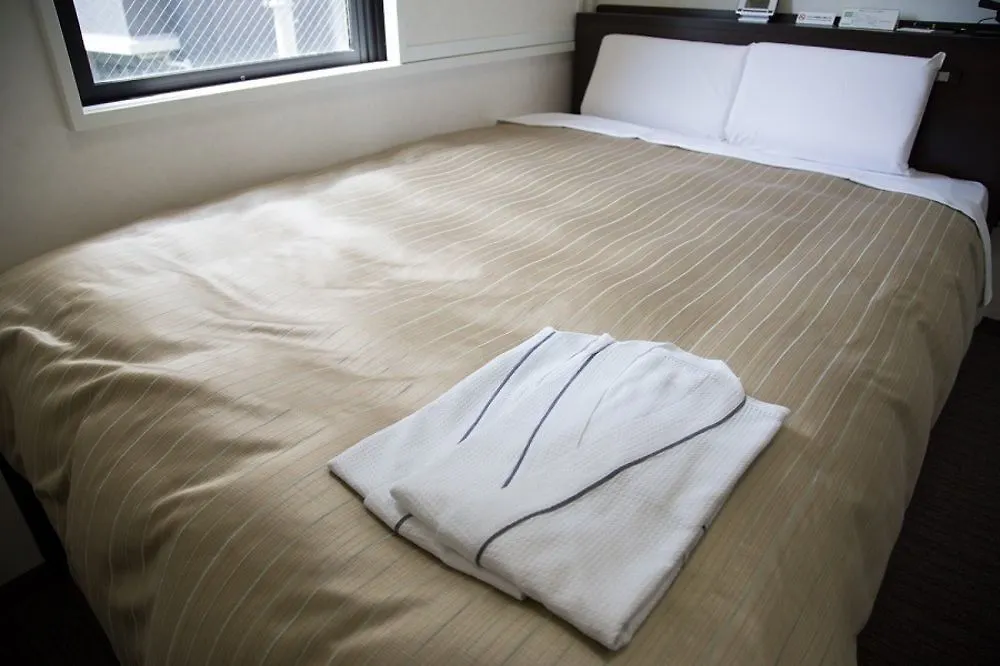 Kyoto Plaza Hotel 3*,